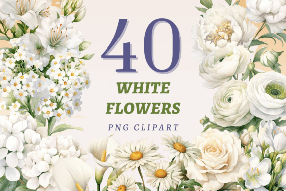 Download White Flowers PNG Bundle - Flowers png Collection