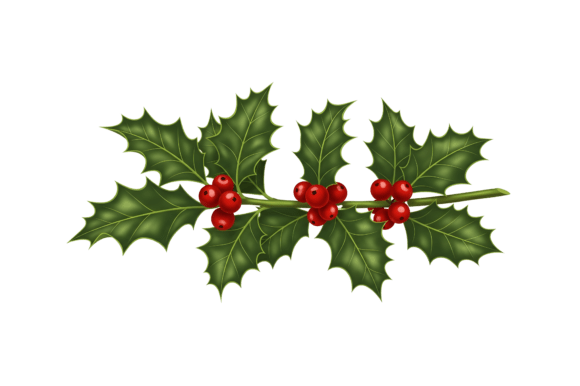 Download Traditional Christmas Holly - Holly Collection